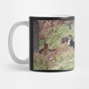 Wild goat Mug